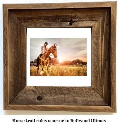 horse trail rides near me in Bellwood, Illinois